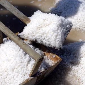 SALINE DI CERVIA 3