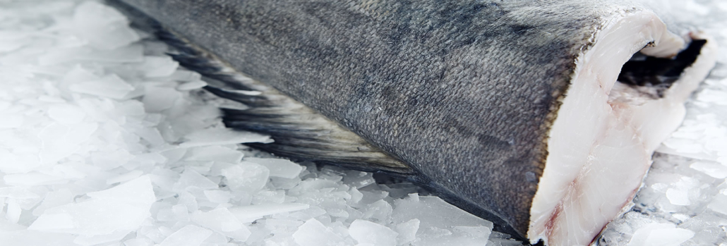 sable fish 3