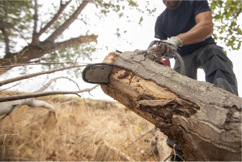closeup-lumberjack-with-chainsaw-forest closeup-lumberjack-with-chainsaw-forest