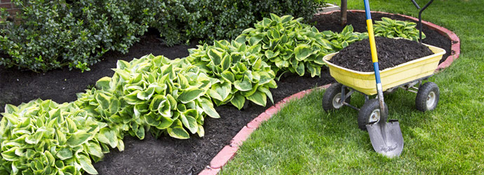 featured-image-mulch