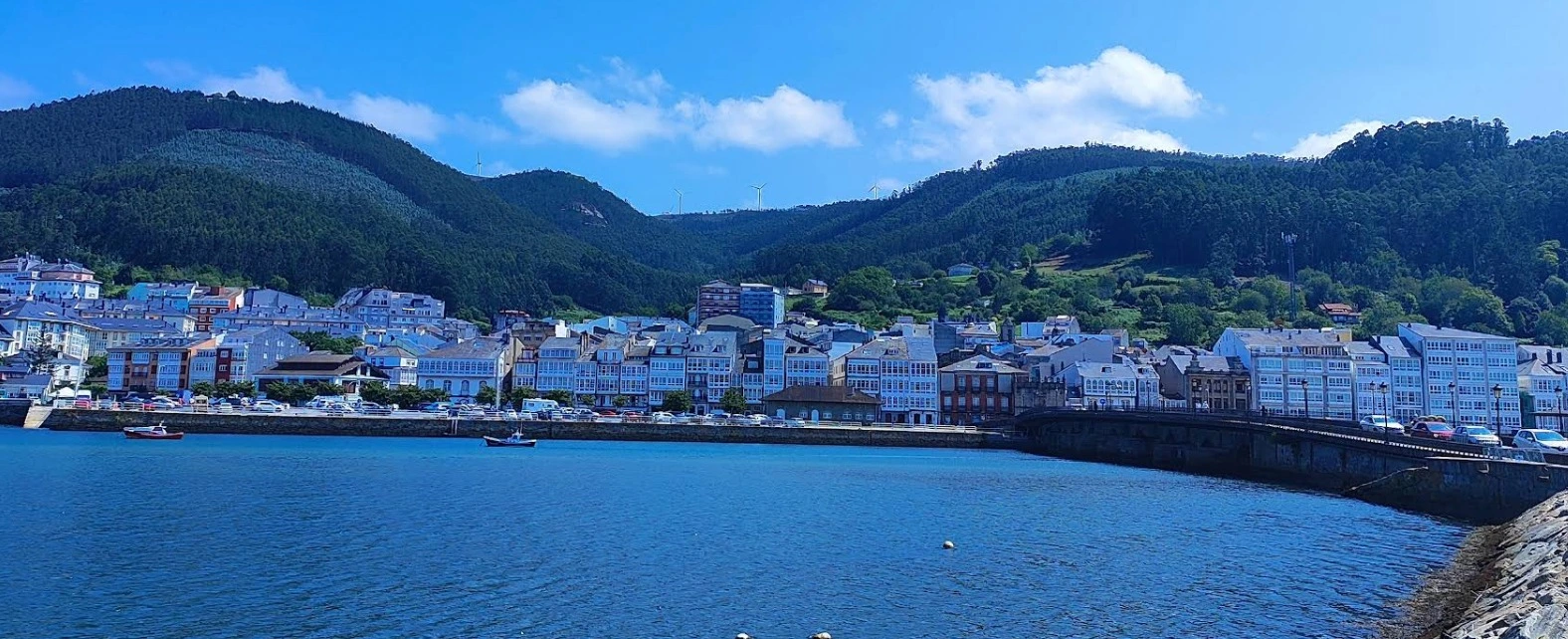 Viveiro en camper. As Caselas