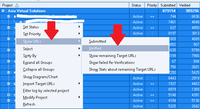 GSA Search Engine Ranker 9 のメンテナンスのヒント GSA Search Engine Ranker で検証済み URL を選択する
