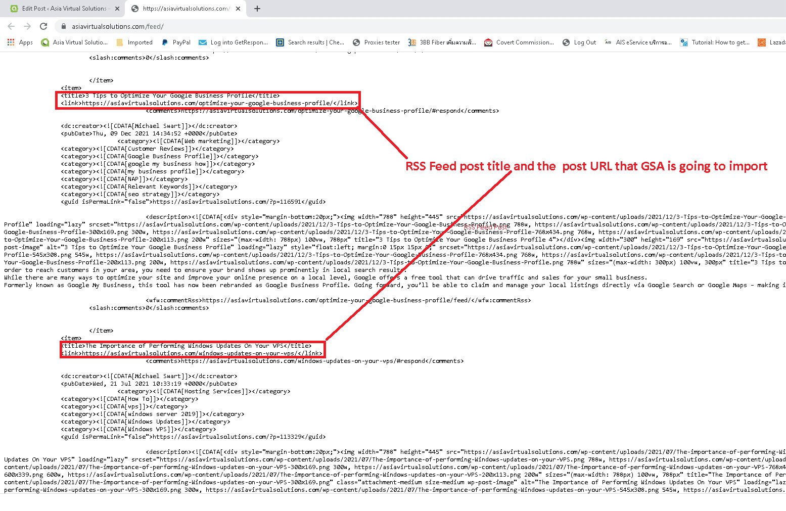 GSA 검색 엔진 랭커로 RSS 피드를 홍보하는 방법 4 GSA SER은 피드 URL에서 무엇을 가져올까요?