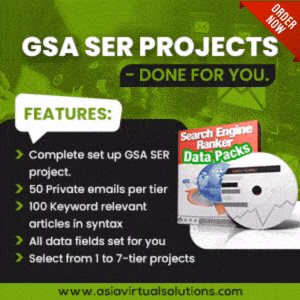 GSA SER リンクビルディング 2026: LPM/VPM の追及をやめる (安全戦略) 13 GSAのプロジェクトはあなたのために行われます。.