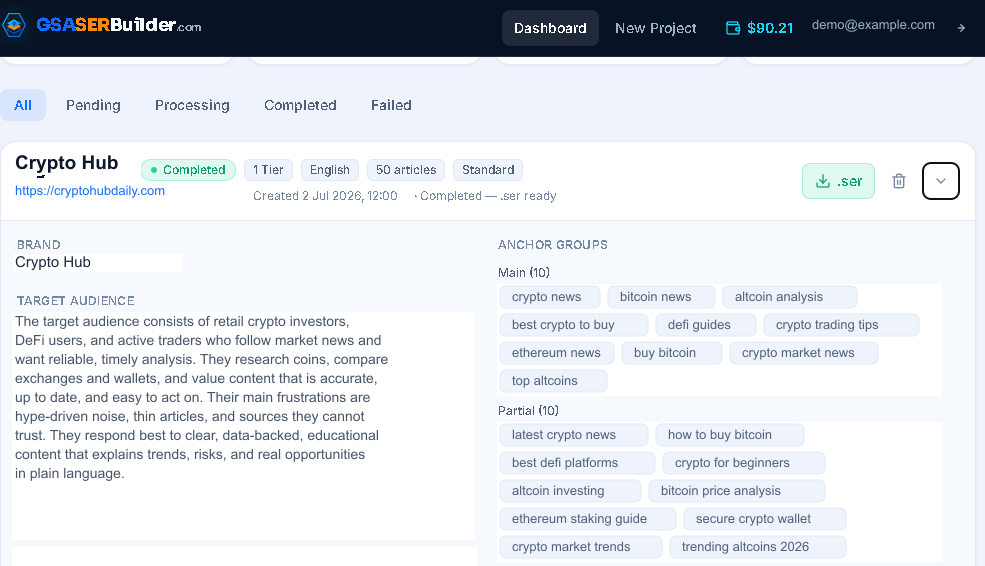 GSA SER Projects in About an Hour — Meet GSA SER Builder 7 Completed GSA SER Builder project details with target audience, anchor groups and all fields filled