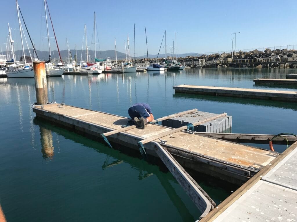 Coffs Harbour Marina Reopens After Storm Leaves Marina in Tatters