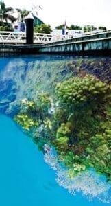 Marinas as Stewards of the Environment