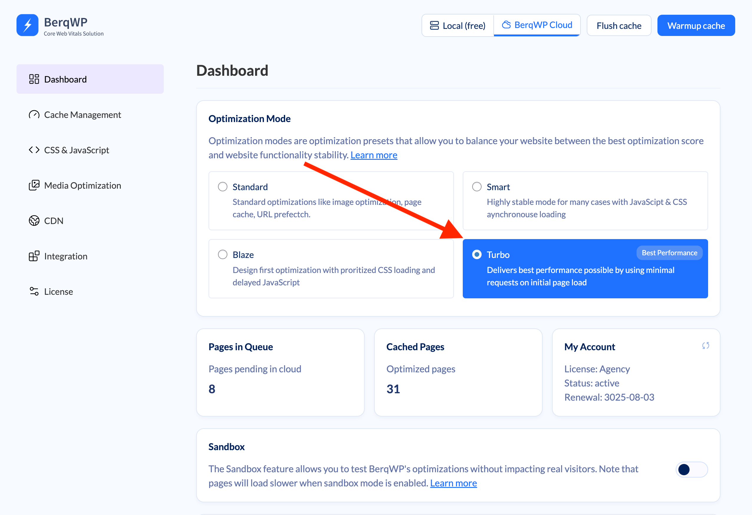 BerqWP plugin settings page