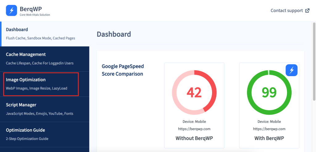 BerqWP plugin dashboard.