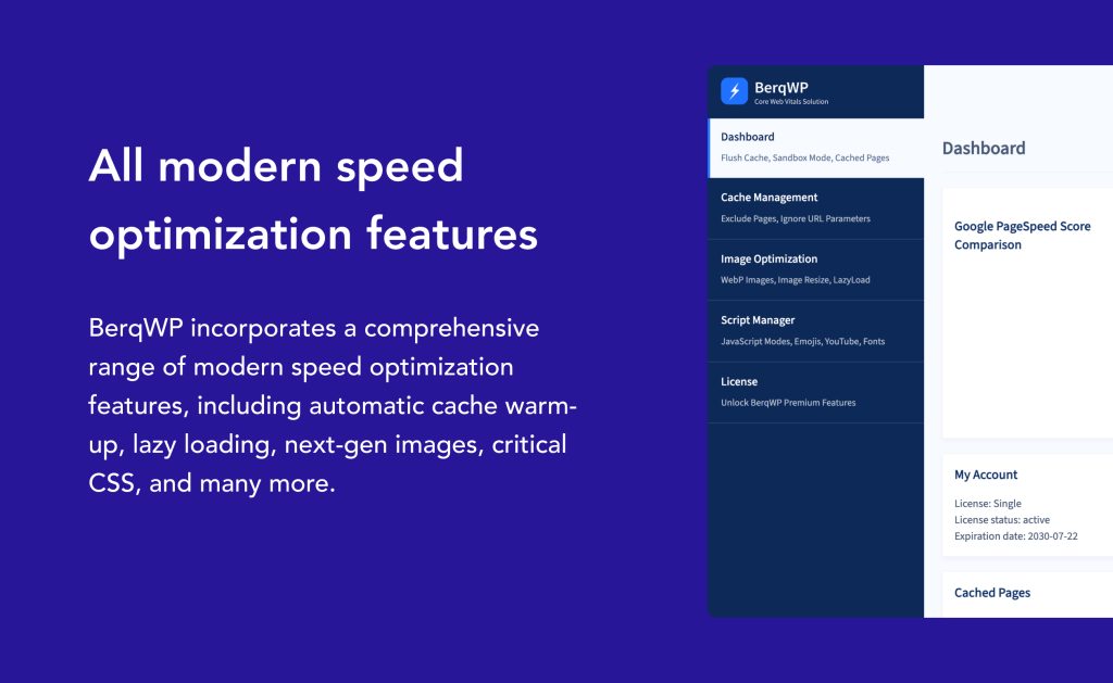 BerqWP plugin features including critical css