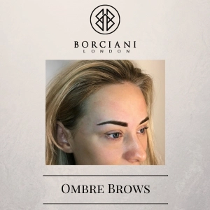 The secret to Perfect Brows 1 1 copy 6 300x300 1
