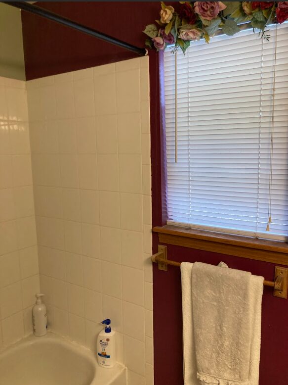 Bathroom Renovations 3 bath shower before