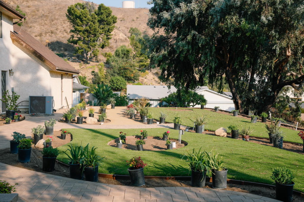 design landscape design landscape
