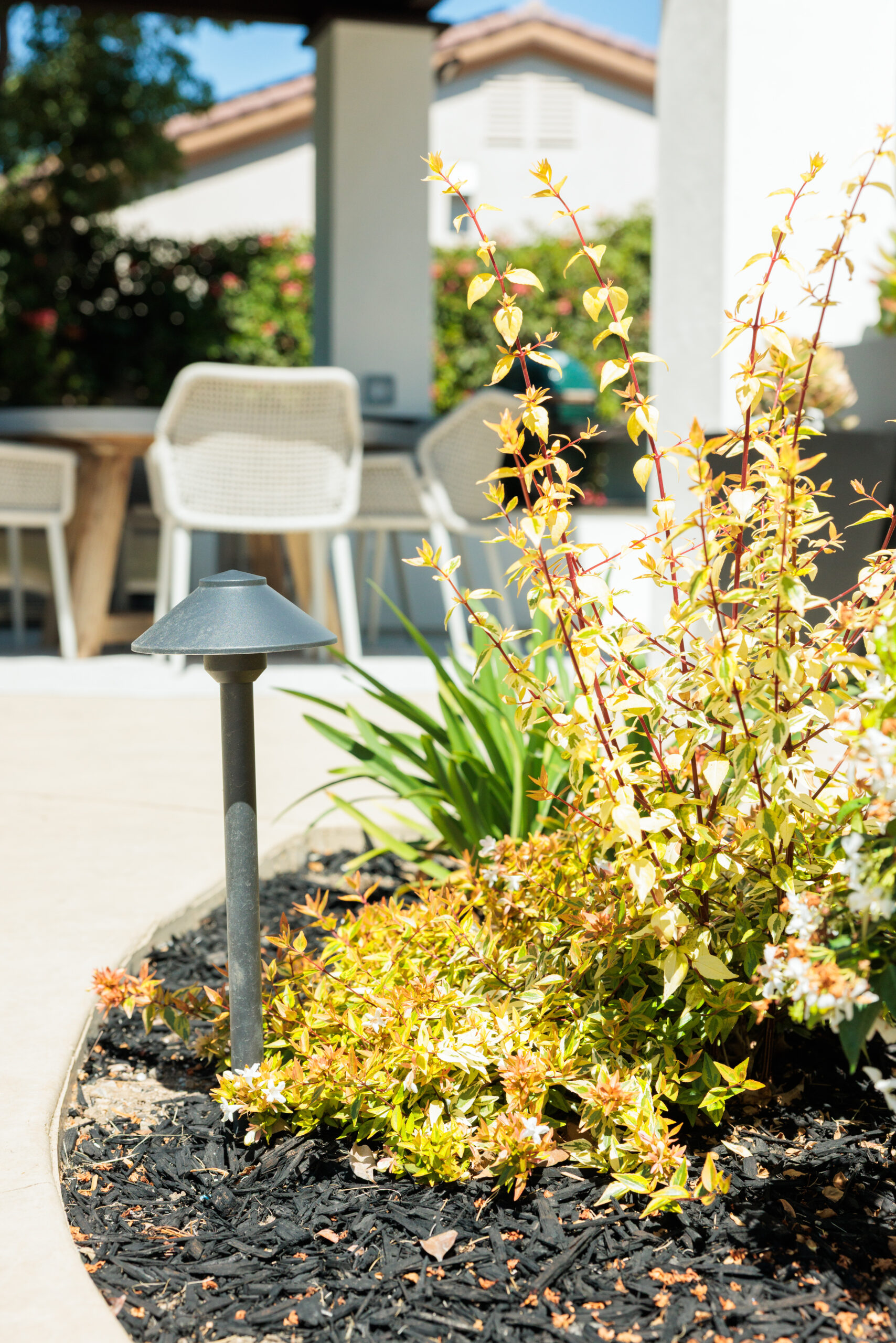 Landscape Design and Planting Custom landscape design with planting beds and landscape lighting