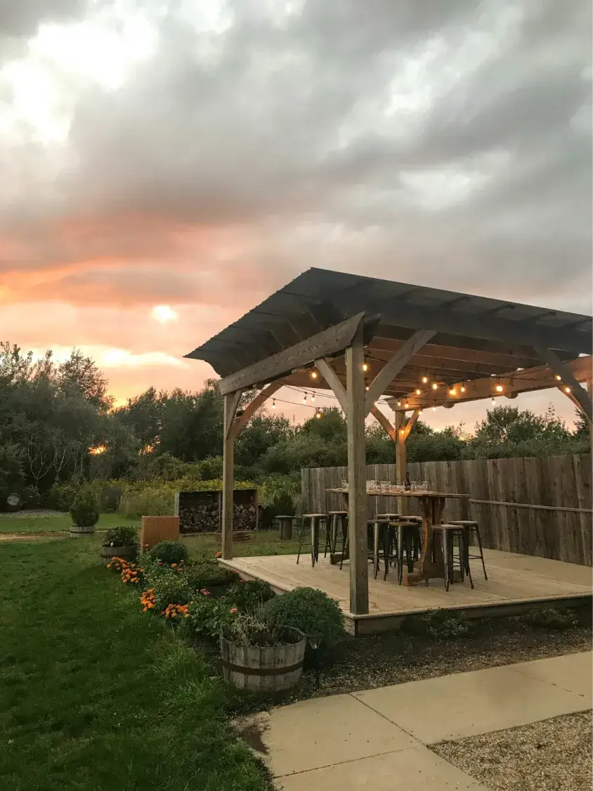 26617 Cat-in-a-Hammock-backyard transformation