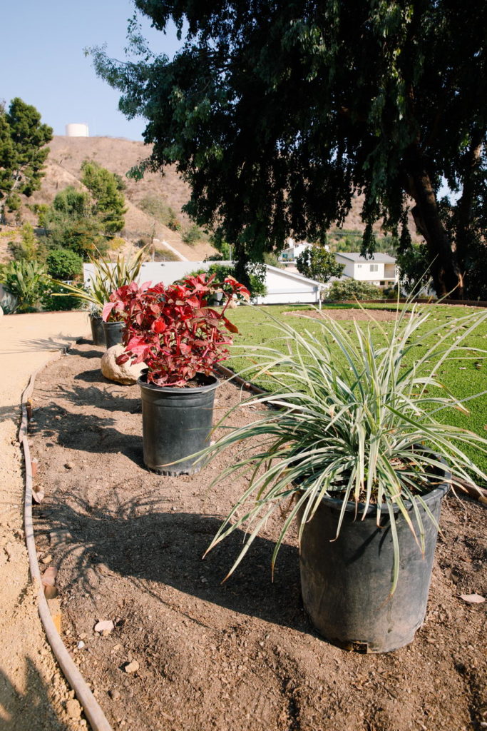 design landscape design landscape