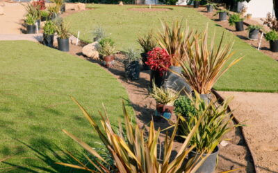 Portfolio 7 Designer Landscape Harborview Ct, Ventura CA