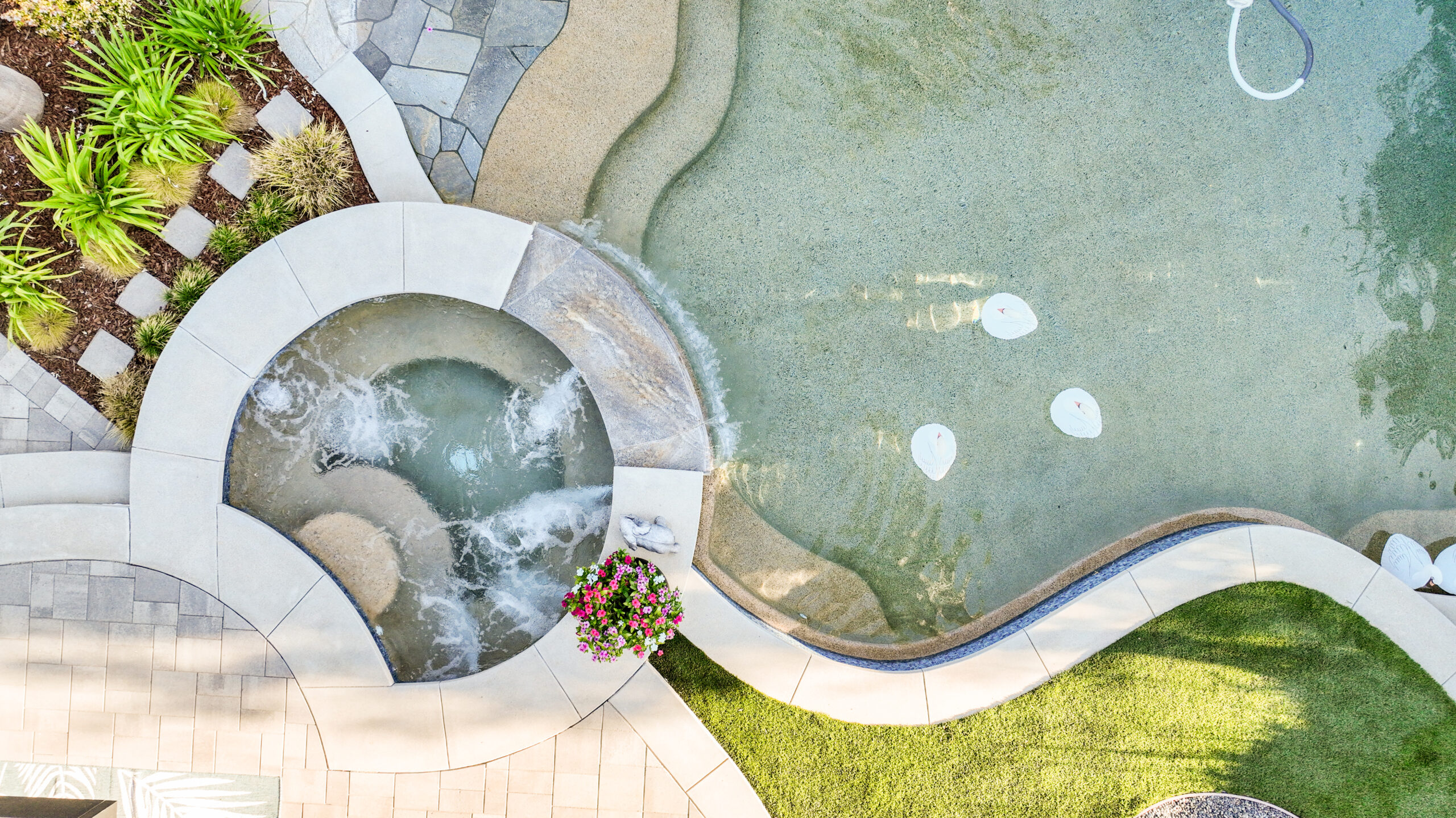 Custom Freeform Pool and Spa Design | Camarillo, CA Aerial view of a custom freeform swimming pool and integrated spa with Baja shelf, paver decking, and landscaped backyard in Camarillo, California.