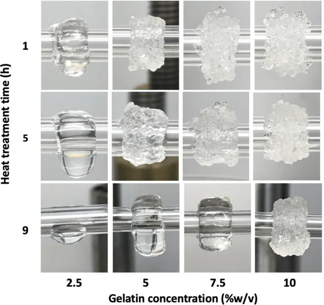Helically printed gelatin constructs using different concentrations of heat-treated gelatin ranging from 2.5 to 10% (w/v).