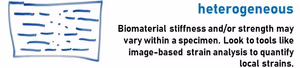 Tools like image based strain analysis to quantify local strains