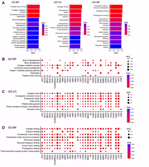 Gene ontology enrichment plots from the publication showing associations between AEBP1 expression and collagen-related extracellular matrix pathways across multiple cancer types.
