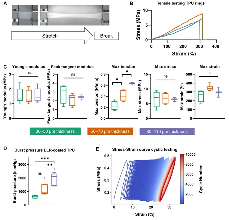 Mechanical testing results of electrospun TPU scaffolds for a miniaturized heart valve, including tensile stressโstrain curves, burst pressure measurements, and cyclic loading behaviour at different material thicknesses.
