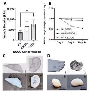 Mechanical properties and personalized bioprinting of psECM-based skin grafts showing Youngโs modulus under compression, construct stability over time, and patient-specific wound geometry printing.
