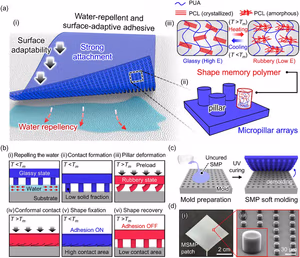 Concept schematic showing a microstructured shape memory polymer adhesive patch with micropillar arrays that repel water, form a dry interface underwater, and switch adhesion by heating and cooling.