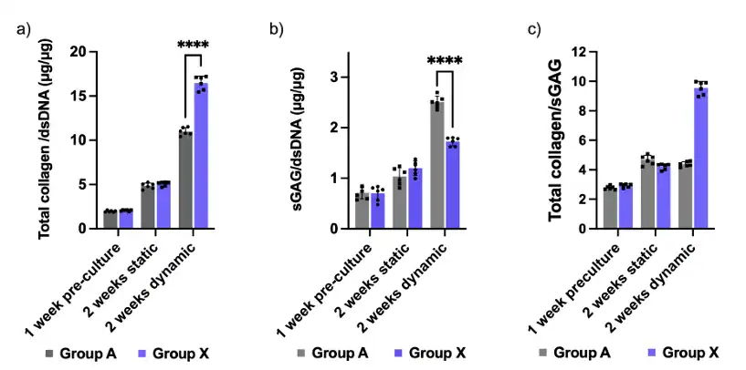 Bar plots comparing Group A and Group X across culture conditions showing (A) total collagen/dsDNA, (B) sGAG/dsDNA, and (C) total collagen-to-sGAG ratio after pre-culture and after two weeks static or two weeks dynamic culture.