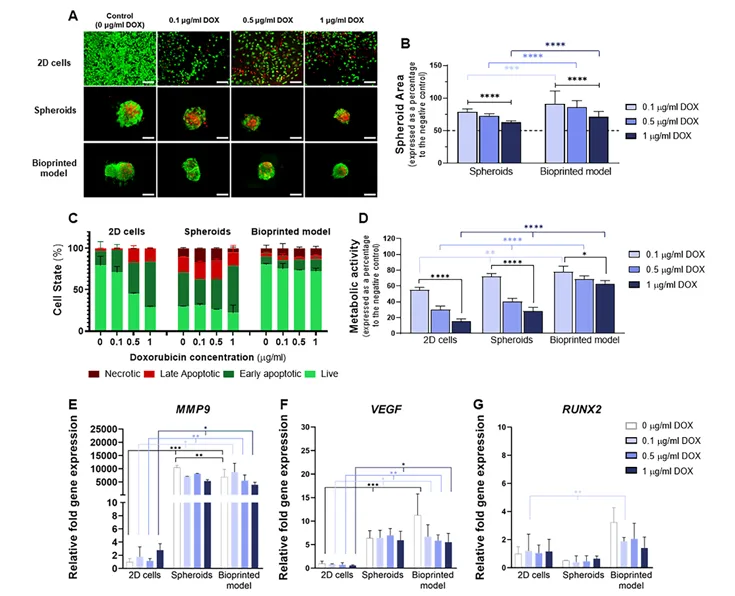 Doxorubicin response in a 3D bioprinted osteosarcoma model compared with 2D cells and scaffold-free spheroids
