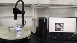 Photo of the CellScale BioTester 5000 used for scleral strip tensile testing in this study