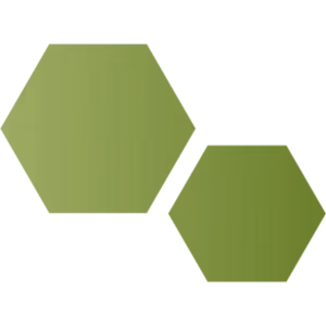 CellScale hexagons, without text