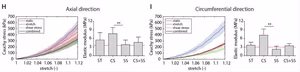 Graphs showing cyclic stretch and shear stress results