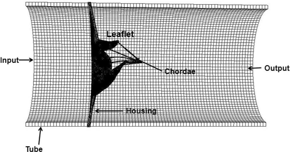 The IB/FE MV model.