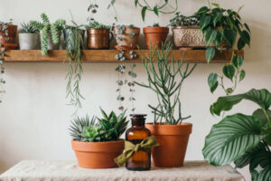 Top Tips to Keep Your Home Cool with an Efficient Cooling System 5 beautiful table display