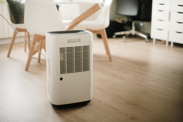 Blog 37 Signs Your Home Needs a Dehumidifier: Ideal Humidity Levels Explained
