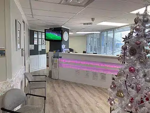 Windhoek Dentist | Home 80 carousel image