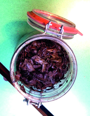 Bokashi, comment s'y mettre ? Img43