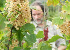 O'Bio, des baies aux EM ! Img32