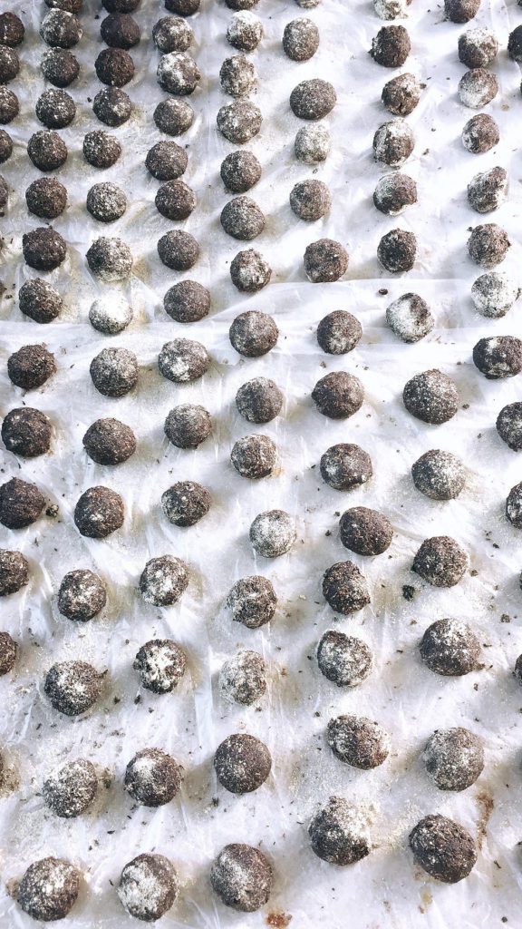 Nous faisons des boules de Bokashi/étang ensemble projet de bokashi ball