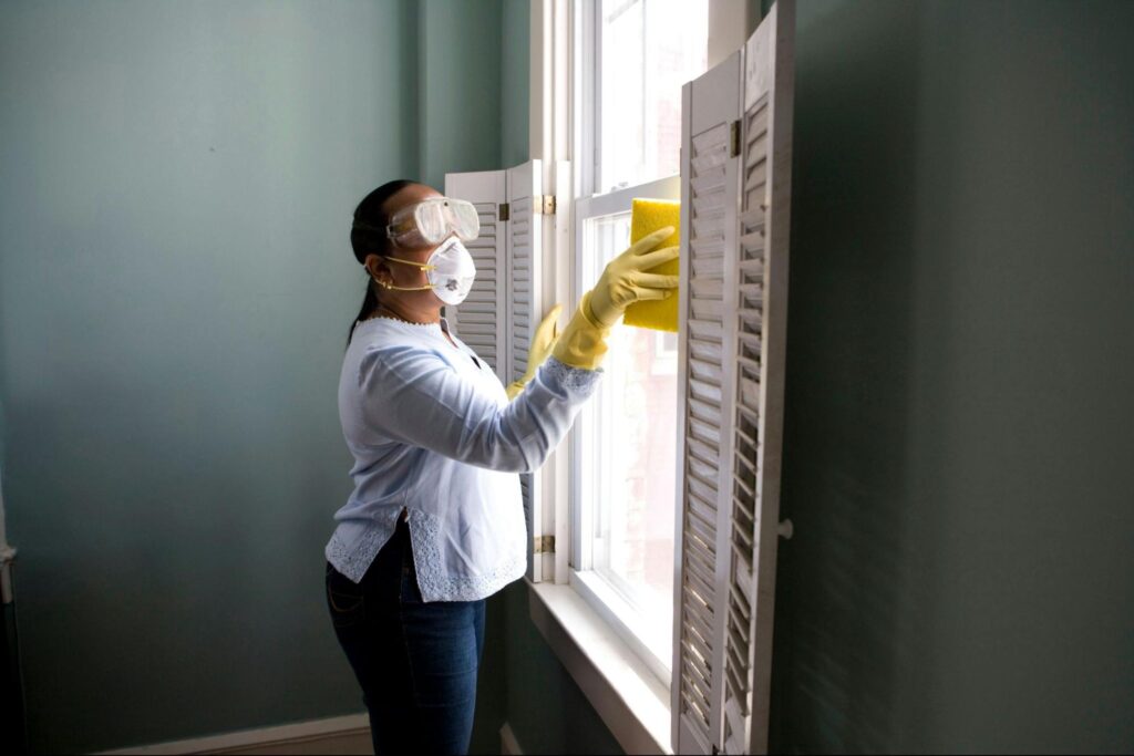 bast-pest-control-image4 - Enviro Tech Pest Control