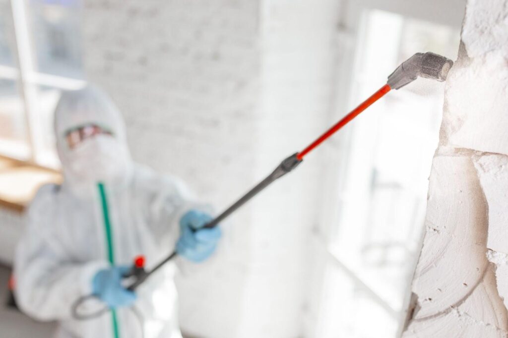 Understanding the Essentials of Pest Control: What You Need to Know 2