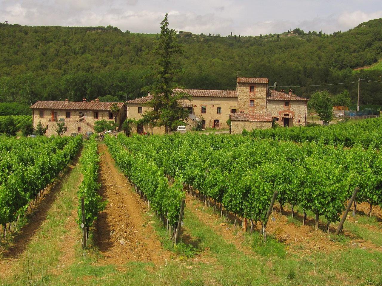 Vineyards in front of a stone villa in the Chianti hills