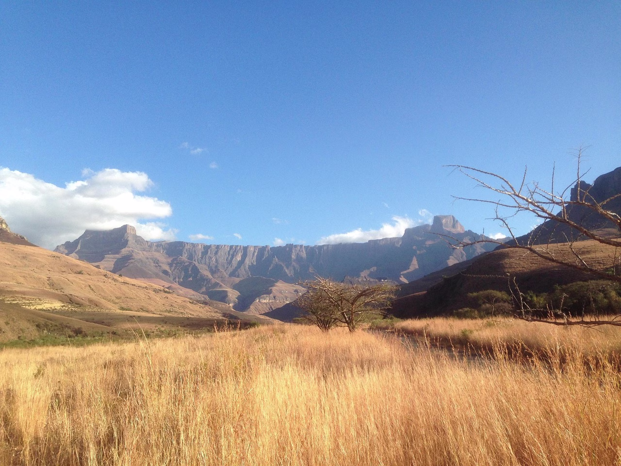 The Amphitheatre cliffs of the Drakensberg above grassland