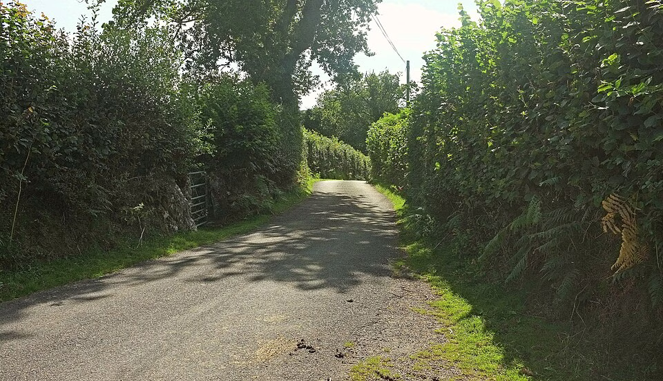 A narrow hedged lane running downhill between high banks towards Widecombe on Dartmoor
