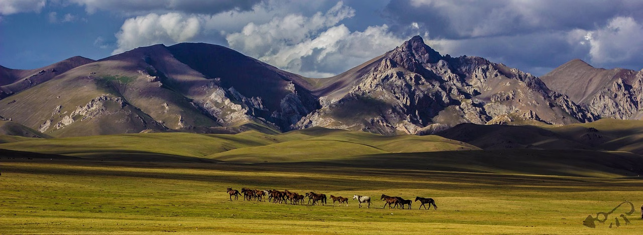 Horses grazing below mountains near Song Kul