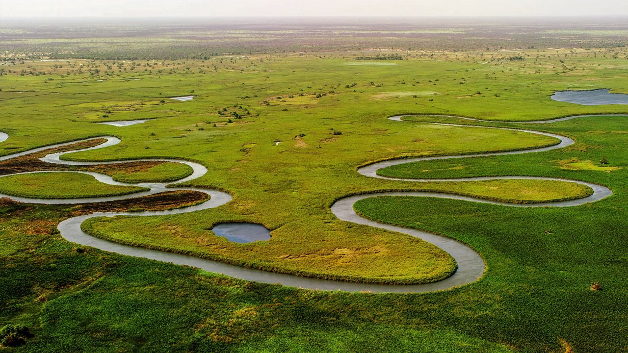 Channels and islands of the Okavango Delta