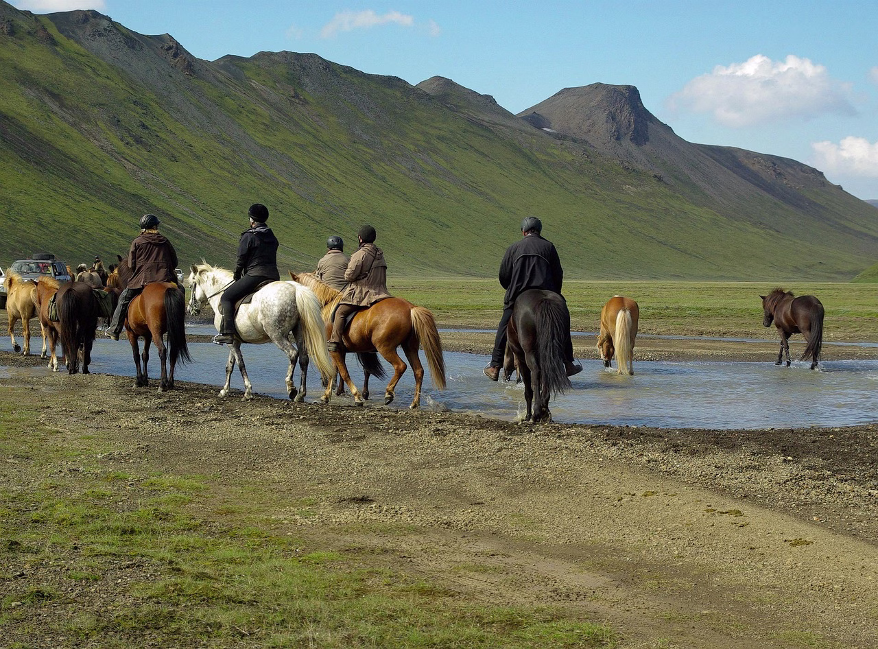 Riders on Icelandic horses with loose horses below the mountains