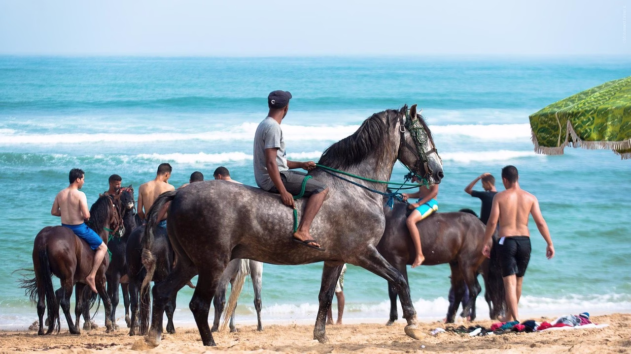 Riders on horseback on an Atlantic beach in Morocco