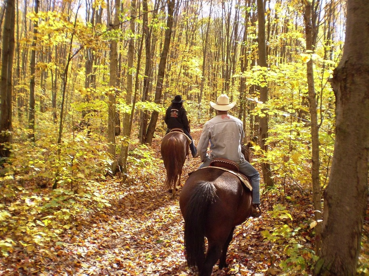Two riders following an earth track through golden autumn woodland in dappled light